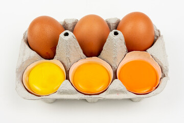 Yolk different colours of chicken egg, yellow and orange, dark and bright, chicken and hen - obrazy, fototapety, plakaty