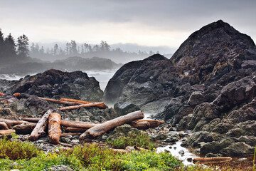Driftwood logs on the Pacific Coast, Wild Pacific Trail, Vancouver Island, British Columbia, Canada © Ken Gillespie