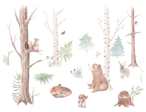 Fototapeta Watercolor set Forest Animals and Trees, watercolor woodland, bear, squirrel, sparrow, fox, rabbit, snail, hedgehog, Christmas tree, stump, for nursery, wallpaper, wall decor, stickers