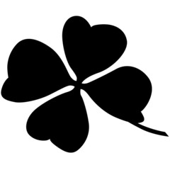 Four-leaf white clover with a stem, Trifolium repens. symbol for luck. realistic silhouette
