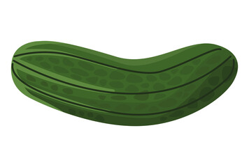 fresh cucumber vegetable