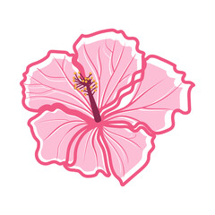 Tropical hibiscus flower Hibiscus. Pink decorative exotic flower vector illustration © Katya Bahr