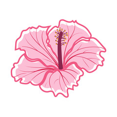 Tropical hibiscus flower Hibiscus. Pink decorative exotic flower vector illustration © Katya Bahr