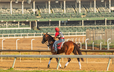 Thoroughbred horse and rider on a track in Kentucky