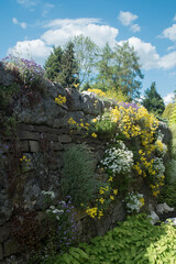 mur kamienny ozdobiony kwitnącymi roślinami - obrazy, fototapety, plakaty