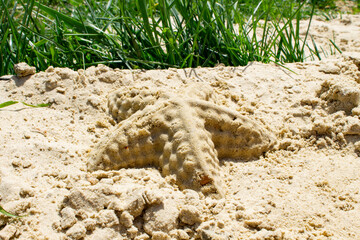 Children's sandbox. Sandbox molds. Children play in the sandbox. Sand on the playground.