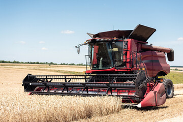 The combine harvests ripe wheat in the field. Red combine harvester on the field.