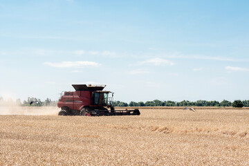 The combine harvests in the field, far front view. Red Combine harvests wheat