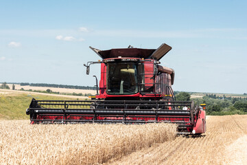The combine harvests ripe wheat in the field. Red combine harvester on the field.