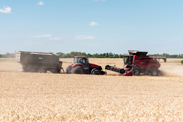 Fototapeta na wymiar Combines harvest grain in the field, fence view. Red harvesters harvest wheat.