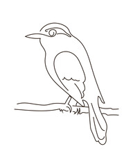 Bird on a branch in one continuous line style. Stock vector illustration isolated on white background.