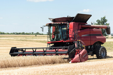The combine harvests ripe wheat in the field. Red combine harvester on the field.