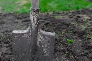 A shovel stuck in the ground. Preparatory work before planting in the garden Selective focus Closeup