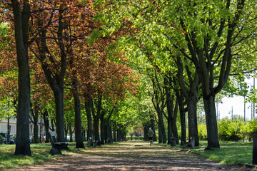 Spring Park Avenue is a good place for a morning jog