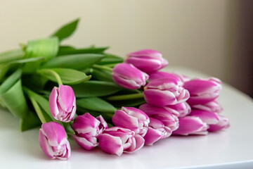 Obraz premium A big bouquet of beautiful pink tulips lies on a white background .