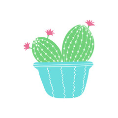 cactus in a basket