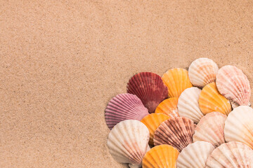 Multi-colored shells on the sand, background for travel advertising, text, inscription