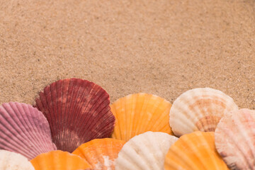 Multi-colored shells on the sand, background for travel advertising, text, inscription