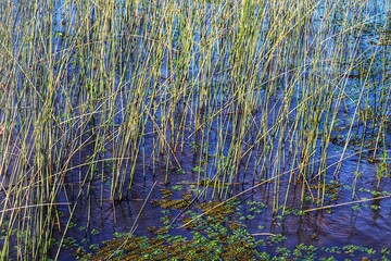 Photograph recorded at the Nautical Park - Lagoa dos Quadros in Capão da Canoa in Rio Grande do Sul, Brazil.
