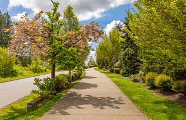Fototapeta na wymiar Path in the spring park. Walking. Landscape. A footpath walkway in the park, the footpath passes by the bench