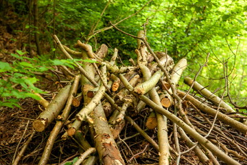 Holzstapel