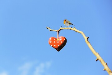 Polka dots heart with a bird.Handmade fabric heart shape hanging and a bird on blue sky.