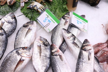 Barcelona, Spain - september 30th 2019: selection of selection of gilthead and Sea bass on La...