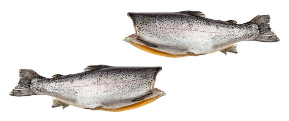 Raw trout carcass isolated on a white background. Sea fish, healthy food, mockup, flat lay