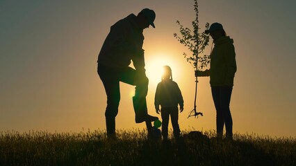 Farmer dad, mom child planting tree. Happy family team planting tree in sun spring time. Silhouette...