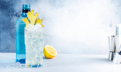Gin mule refreshing summer cocktail with dry gin, lemon, soda and ginger. Gray blue  background with negative space