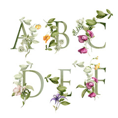 Fototapeta na wymiar Watercolor floral alphabet. Hand painted letters, numbers with field greenery, wildflowers, herbs, bouquet. Font with leaves, flowers isolated on white background. Botanical illustration for logo