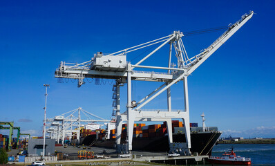 Fototapeta na wymiar Shipping cranes at container port