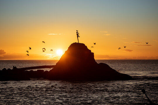 Birds fly past The Lady on the Rock, Whakatane, New Zealand
