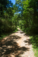 Obraz premium Parque Estadual da Cantareira