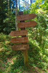 SÃO PAULO, SP, PARQUE ESTADUAL DA CANTAREIRA - Trilha entre Águas Claras e Pedra Grande. São Paulo. Foto: Ormuzd Alves