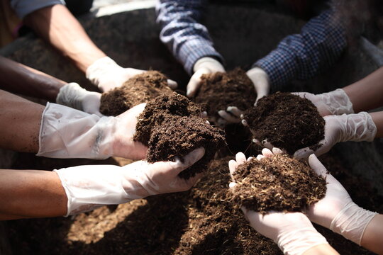 hand and fertile earth in the palm of hand. holding the black soil in their palms farmer  analyze organic farm . can be use for agriculture smart farm business concept.