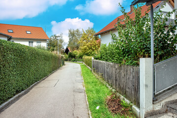 Lawn, trees, green hedge and a path in a summer park.