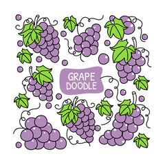grape doodle hand drawn design