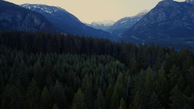 Rising view from the coniferous hill with a background of a trope and cliffs
