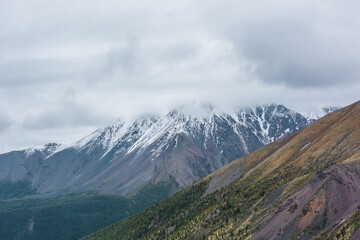 Atmospheric aerial landscape with green forest on gold mountainside against high snowy mountain range in rainy low clouds. Dramatic beautiful scenery with large snow mountains in low gray cloudy sky.