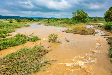 비온뒤 하천에 흐르는 흙탕물