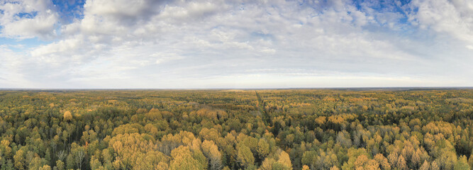 Aerial, panoramic shot of a large, colorful forest and the sky with altocumulus clouds