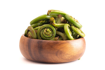 Fresh Fiddlehead or Ostrich Fern Isolated on a White Background