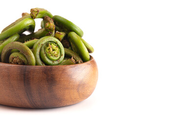Fresh Fiddlehead or Ostrich Fern Isolated on a White Background