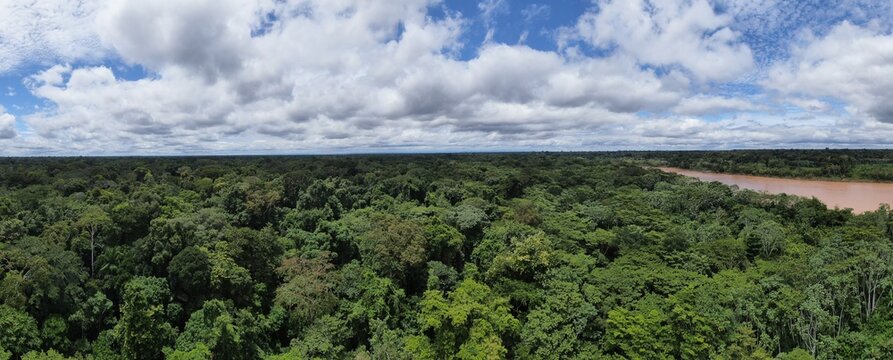 Drone picture of tambopata national park showing river flowing through rainforest