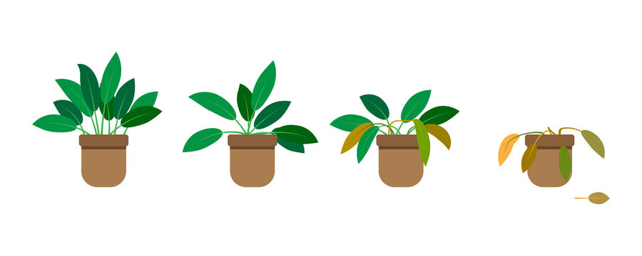 Growing phase flowerpot in flat style. Gardening concept. Vector illustration. Stock image.
