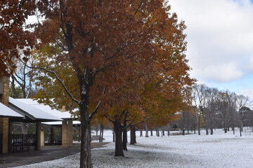 Winter Over Como Park in Minnesota