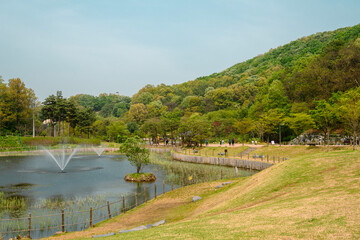 Fototapeta na wymiar Chomakgol Eco Park pond and green forest in Gunpo, Korea