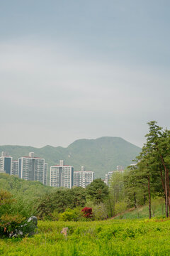 Chomakgol Eco Park green forest and apartment buildings in Gunpo, Korea