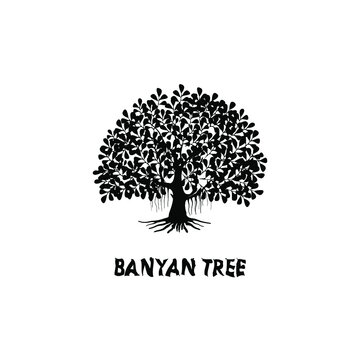 banyan tree silhouette vector